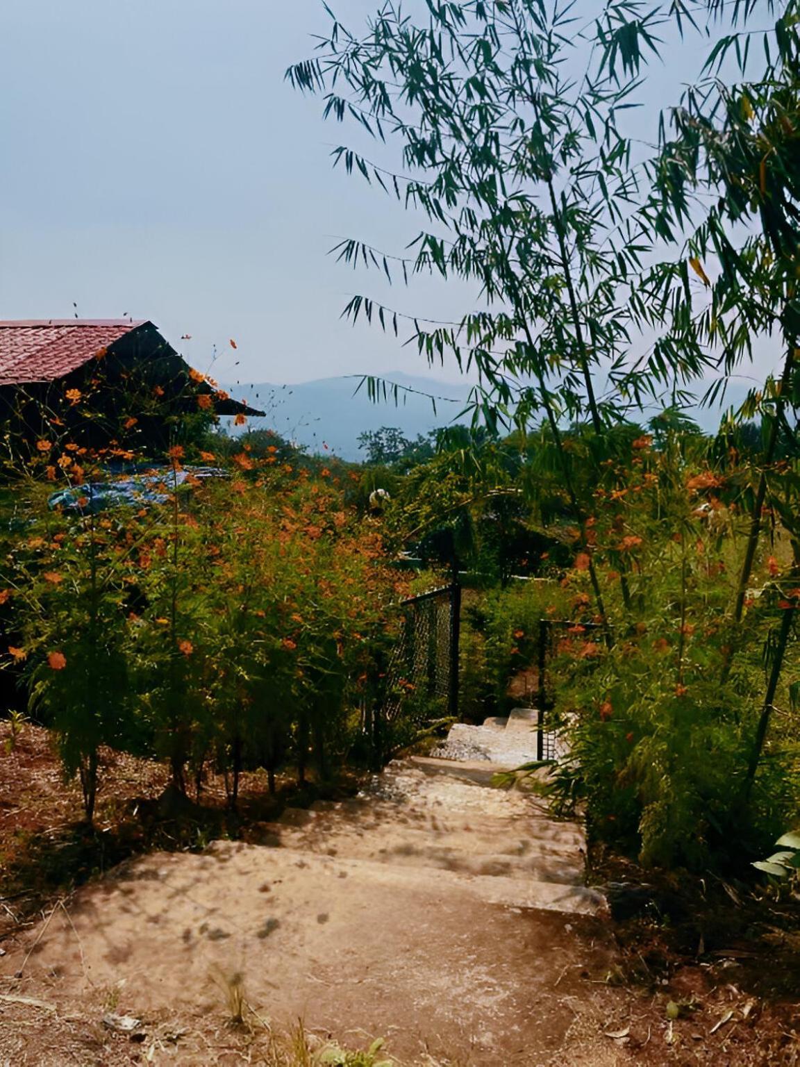 Forrest Homestay Villa Bhor Ngoại thất bức ảnh